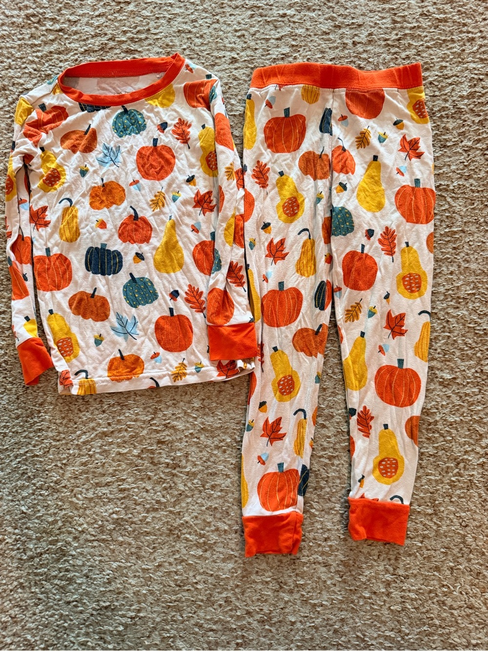 Little Sleepies Fall Harvest Pajamas 2T
